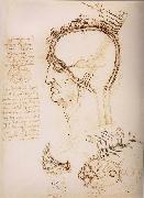 LEONARDO da Vinci Anatomical study of the brain and the scalp oil painting artist